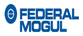 Federal Mogul